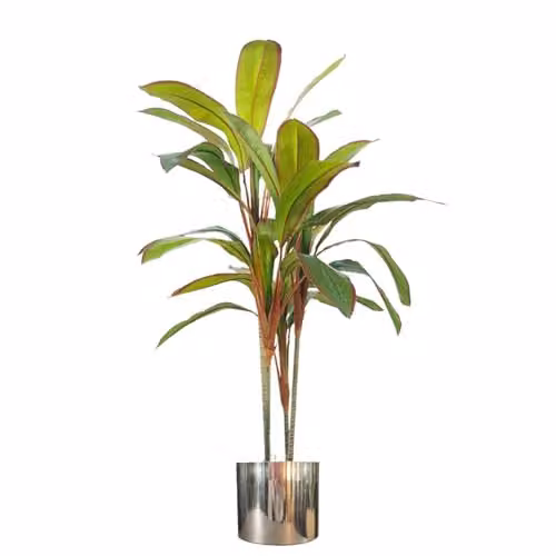Leaf Design UK Botanik 100cm Artificial Potted Dracaena Tropical Plant in Green with Silver Metal Planter