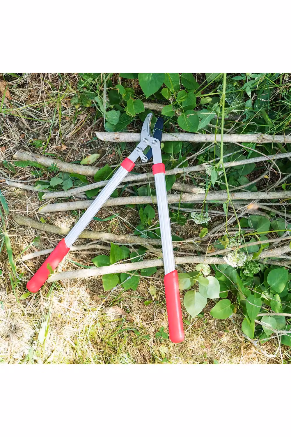 Kent & Stowe General Purpose Bypass Loppers in Grey and Red – 3