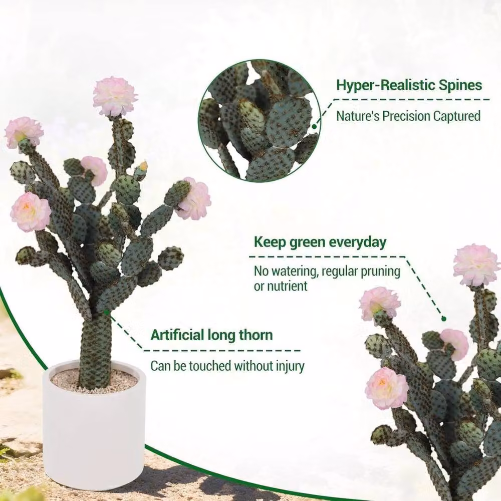 VOGREX Artificial Potted Cactus Succulent in Green and Multicolour for Tabletop Display – 3