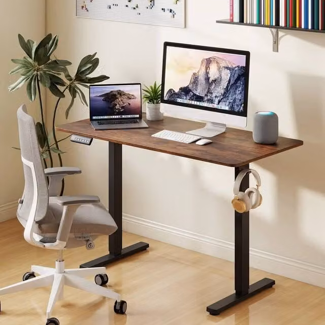 SPETLEK Electric Height Adjustable Standing Computer Desk in Brown and Black, W: 120 cm, D: 60 cm