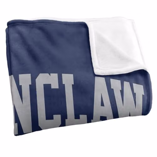 Warner Bros. Harry Potter Ravenclaw Arched Silky Touch Super Soft Fleece Throw Blanket, Multicolour, W: 127.0 cm, H: 152.4 cm – 2