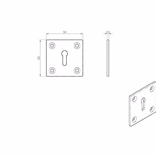 Loops Standard Lock Profile Open Escutcheon Keyhole Cover Plate in Polished Brass – 2