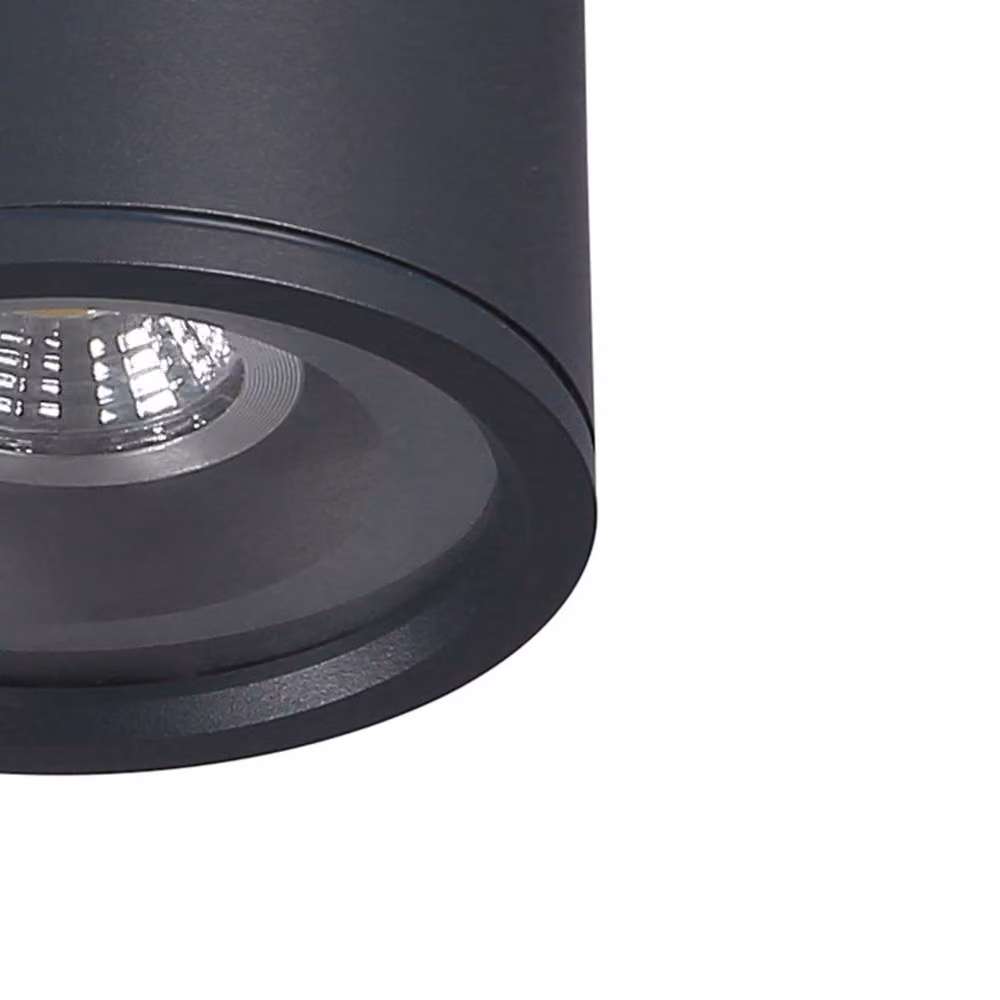 Netlighting Tormi Black Outdoor Surface Mounted Downlight IP54 – 2