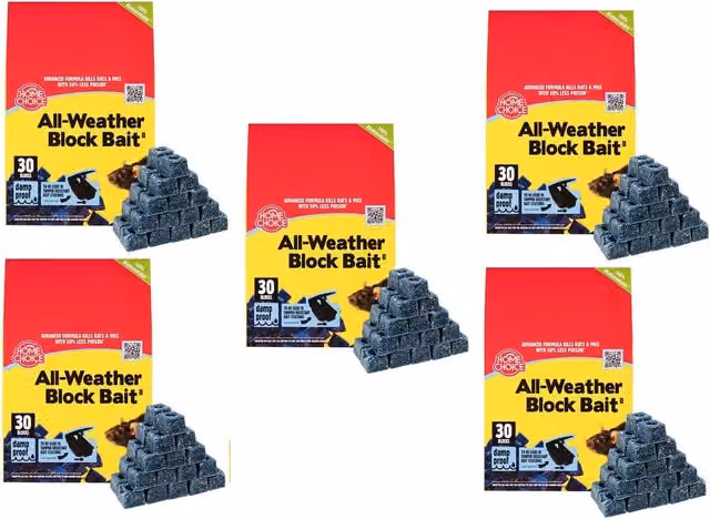 The Big Cheese Rat and Mouse Bait Blocks, All Weather Poison, Grey, 30 x 10g Cubes