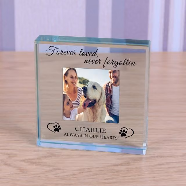 Uniqueful Personalised Always in Our Heart Pet Memory Glass Token in Multicolour