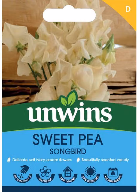 Unwins Songbird Sweet Pea Seeds, Fragrant Purple Climbing Flowers