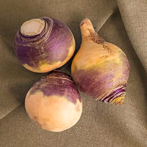 Thompson and Morgan Brora Rutabaga Swede Seeds, Approx. 750 Seeds