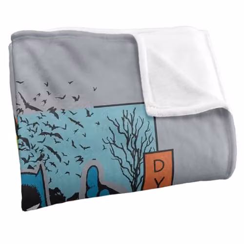 Warner Bros. Batman and Robin Kanji Dynamic Duo Super Soft Fleece Throw Blanket, Multicolour, W: 152 cm, D: 127 cm – 2