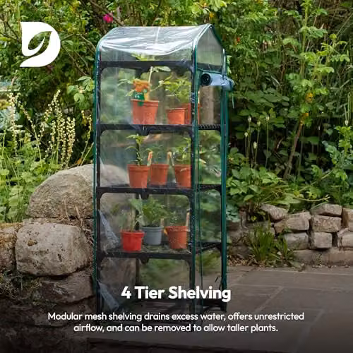 Hardys 4 Tier Mini Greenhouse with 4 Shelves, Portable Indoor and Outdoor Growhouse with Reinforced Steel Frame and PVC Plastic Cover – 4