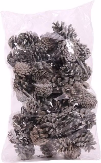 KDMD Grey Frosted Dried Pine Cones, 1kg