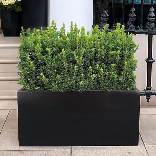 IDEALIST Large Black Reinforced Stone Trough Planter, 54L – 5