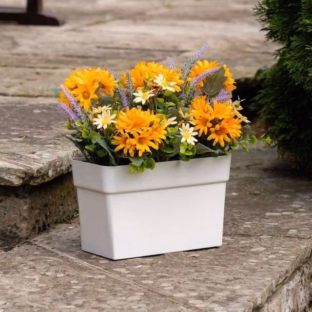 Scottish Everlastings Ltd Orange, Yellow and White Daisy Floral Tabletop Trough, W/D/H: 25.0 x 15.0 x 12.0 cm