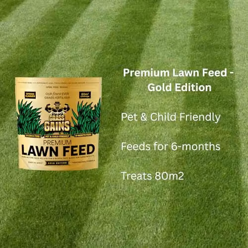 Grass Gains Premium Slow Release Lawn Feed, 2kg – 2