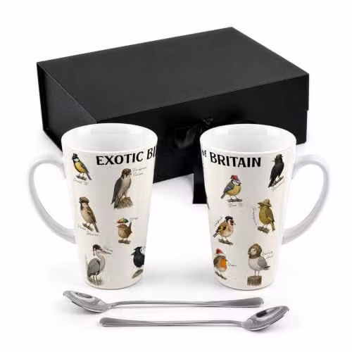 Purely Home Exotic Birds of Britain Multicoloured Ceramic Latte Mug Set