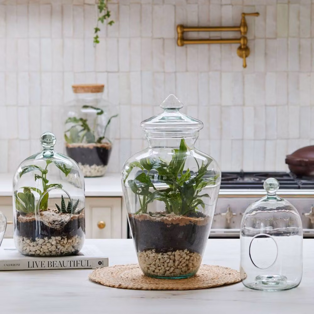 Ivyline Glass Bell Jar Open Terrarium in Clear, H35 x D19.5 cm – 2