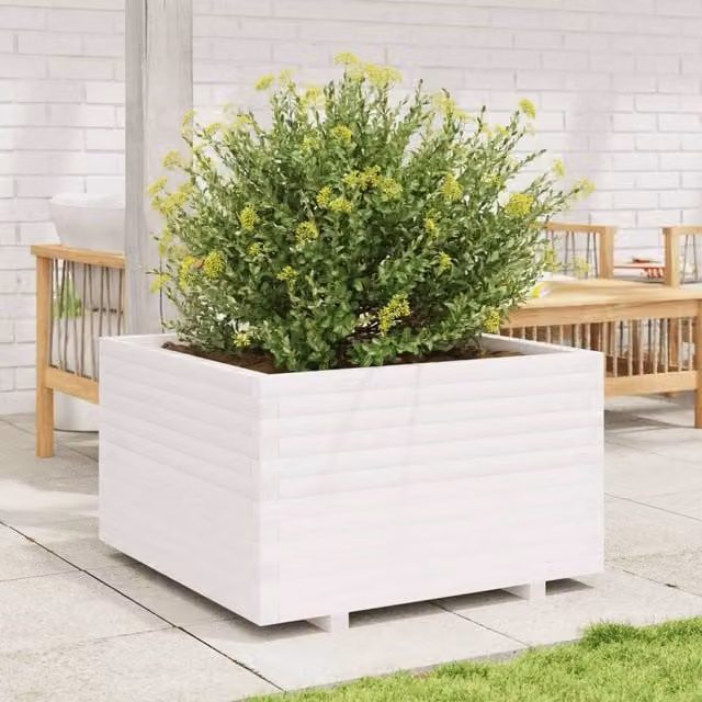 Berkfield Home Beautiful Garden Planter in White Solid Pine Wood, W: 80 cm, D: 80 cm, H: 49.5 cm – 1