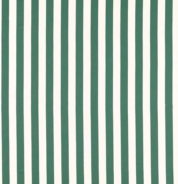 Clarke & Clarke Portland Fabric in Green and White