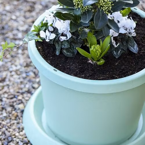 Garden Gear Green Plastic Planter with Saucer, Diameter: 42 cm – 3