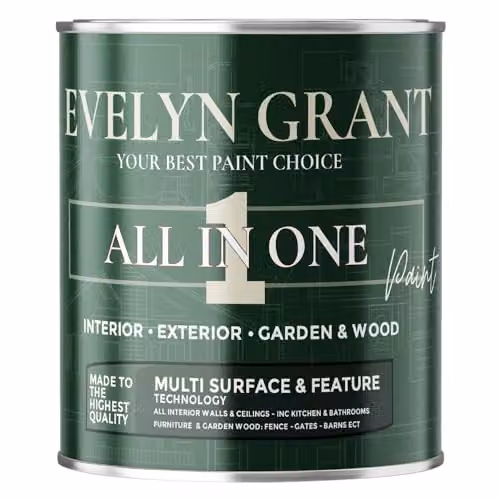 Evelyn Grant All-In-One Multi-Surface Paint for Indoor and Outdoor Use, Matt, Sage Green, 1 l – 2