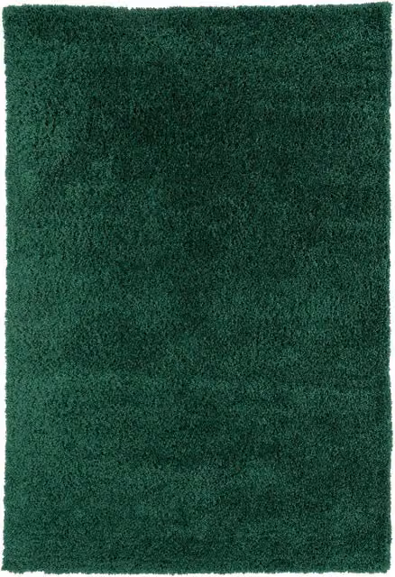 Kukoon Soft Fluffy Thick Pile Shaggy Area Rug in Green, W/D: 120 x 170 cm