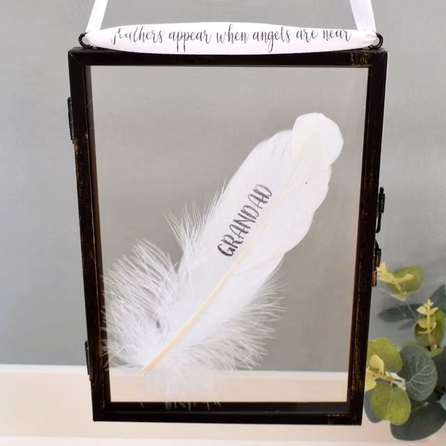 Amaya Rose Ltd In Memory of Grandad Single Floating Picture Frame with Real Feathers, Black, Rectangular, Wall Mount
