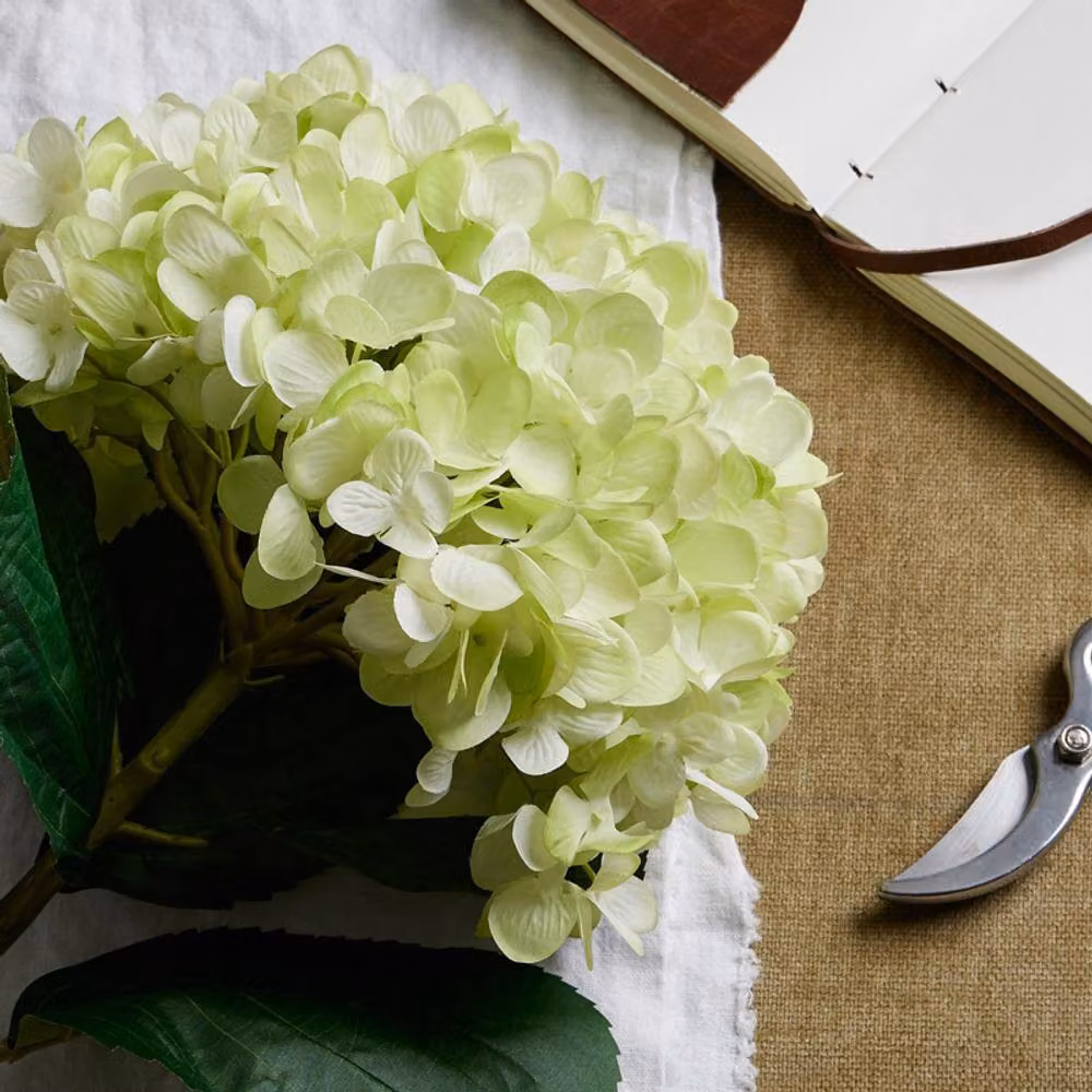 Lemon Pavilion Artificial Oversized Green Hydrangea Plastic W25 x D25 x H73 cm – 2