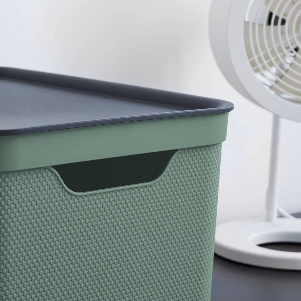 Rotho 3-Set Solid Green Plastic Storage Boxes, 50 cm – 3