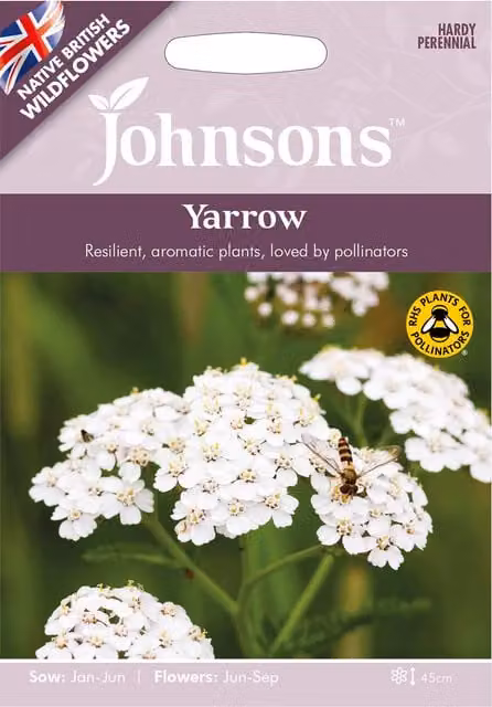 Johnsons White Yarrow Ornamental Flower Seeds