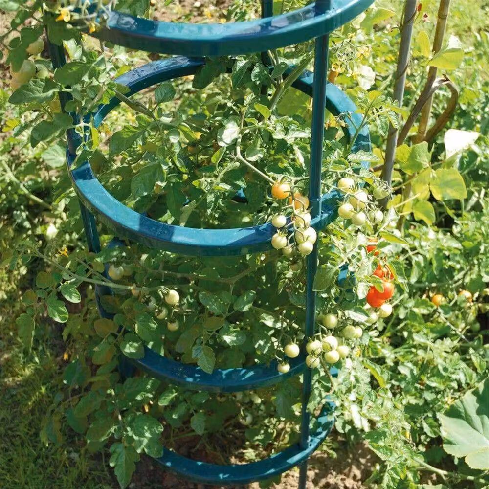 Nordara Green Plastic Tomato Growing Support and Plant Stake for Vegetable Gardens – 2