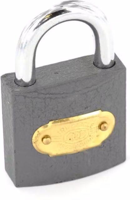 Securit Tricircle Iron Padlock with Brass Cylinder in Grey and Bronze