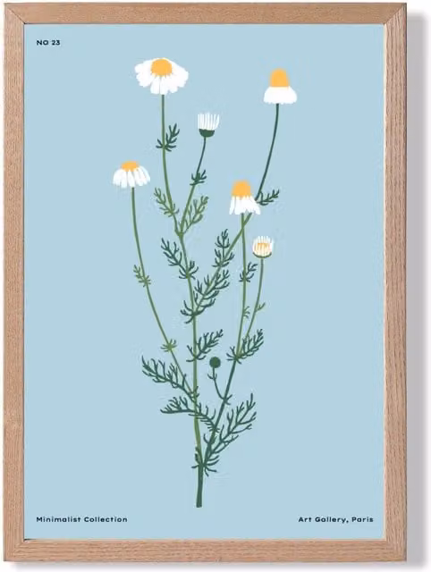 ARTZE Blue Daisies Flower Market Minimalist Framed Botanical Print with Oak Frame in Mid Blue, A3