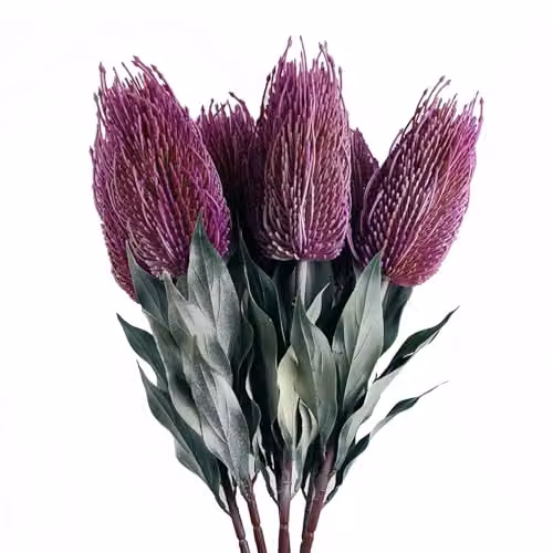 Pegdev Pack of 6 Pink and Yellow Artificial Banksia Floral Stems, 75 cm – 5