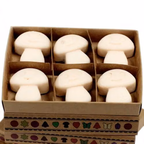 Ancient Wisdom Vanilla Nutmeg Wax Melts, Box of 6, White – 2