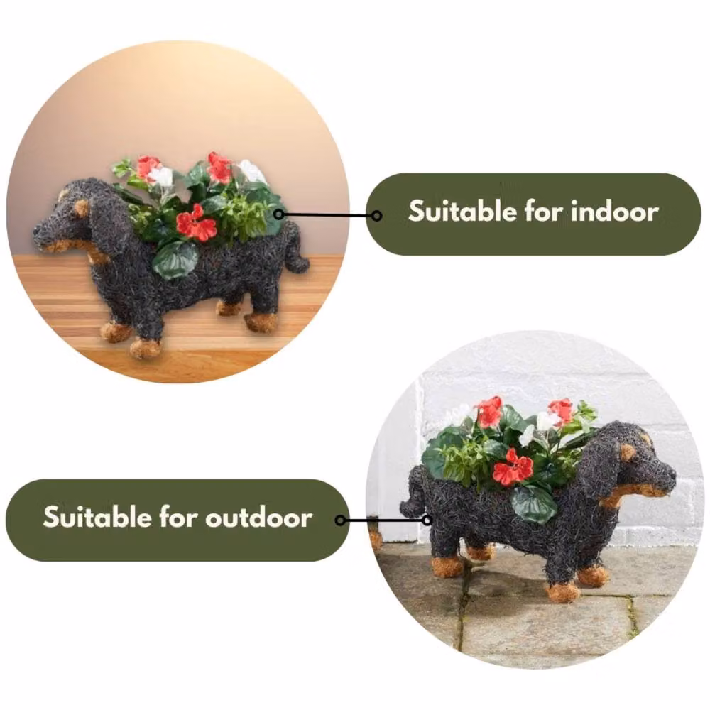 Marco Paul Sausage Dog Flower Planter, Brown, Height: 45 cm – 4
