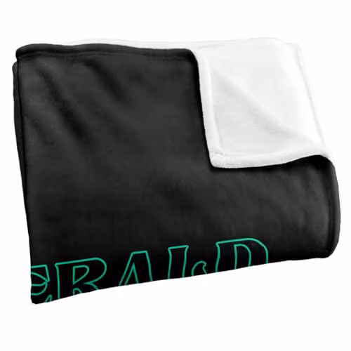 Warner Bros. The Wizard Of Oz Emerald City Line Logo Silky Touch Super Soft Fleece Throw Blanket, W/D/H: 91 x 147 cm – 2