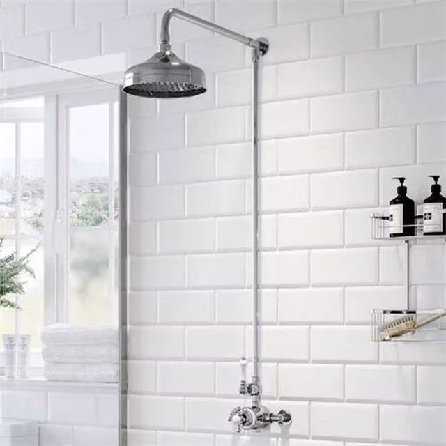 NESTLUNE Traditional Exposed Thermostatic Single Lever Shower Set in Silver