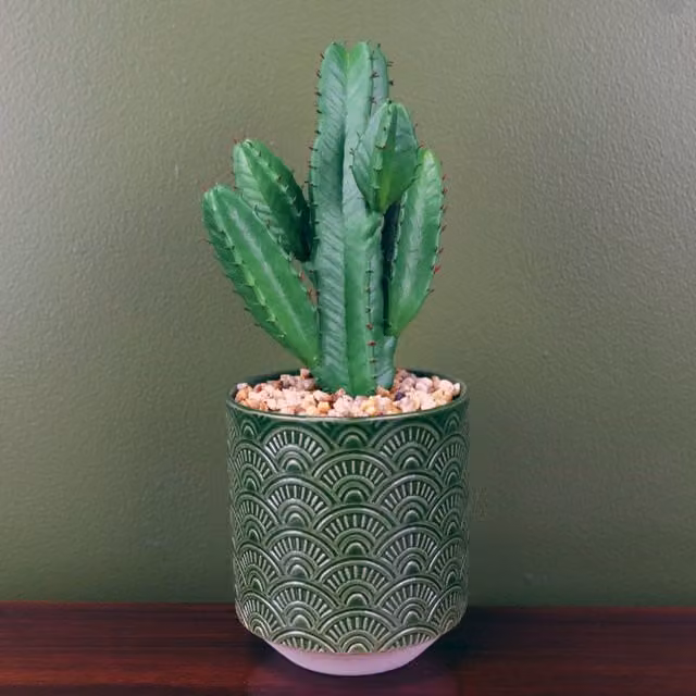 Artificial Succulent Cactus Plant in a Green Geometric Ceramic Planter