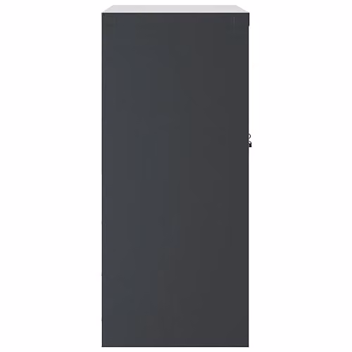 vidaXL Anthracite Metal File Cabinet with Hinged Doors and Lock, W/D/H: 40 x 40 x 90 cm – 5