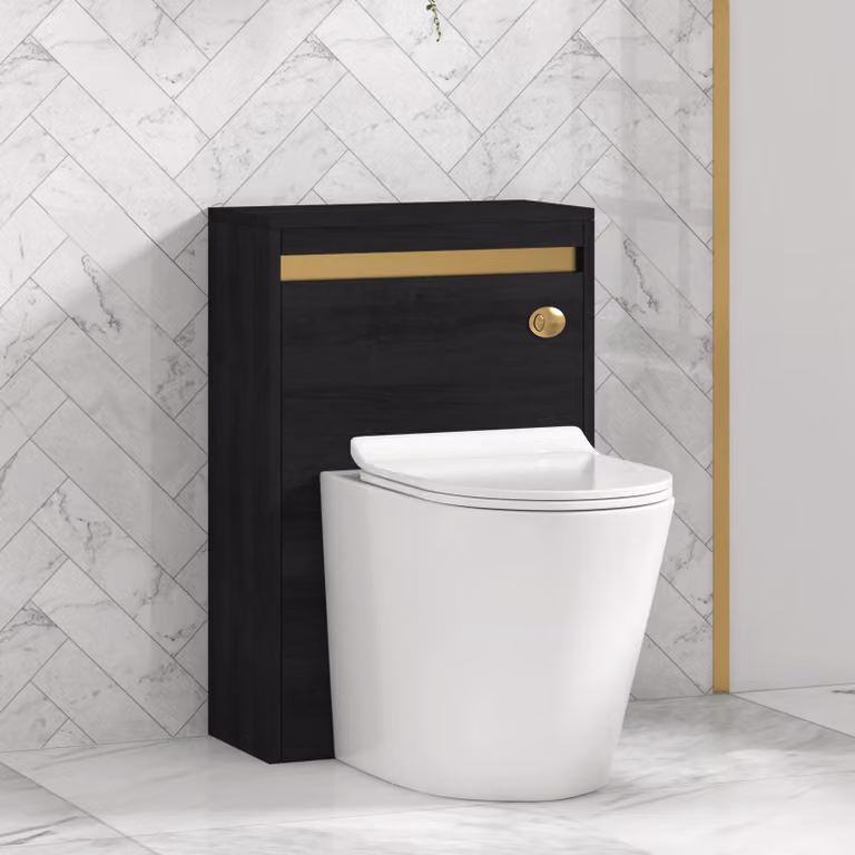 Orion Hale Black Wall Mounted WC Unit with Cesar Rimless Toilet Pan, Slim Seat and Cistern, Brushed Brass Accent Trim, Width: 54 cm