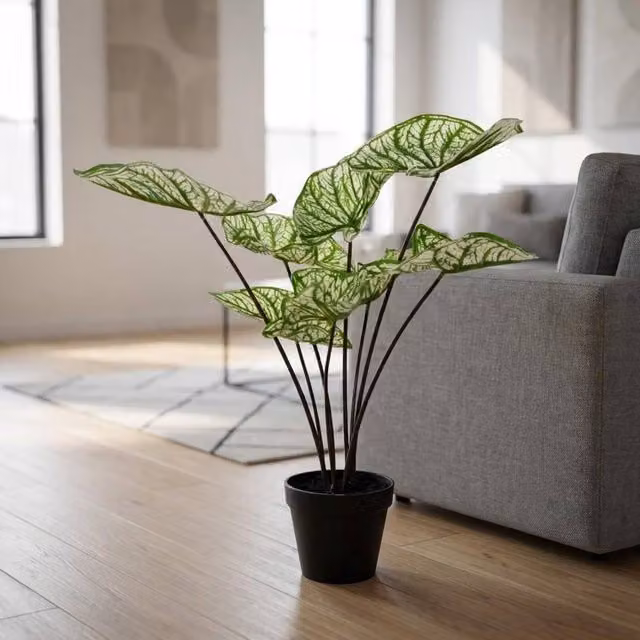 Garden Greatness Artificial Potted Caladium Leaves Plant in Green and Multicolour