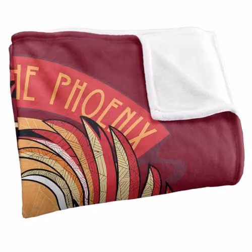 Warner Bros. Harry Potter Order of the Phoenix Mosaic Silky Touch Super Soft Fleece Throw Blanket, Multicolour, W/D/H: 127.0 x 152.4 x 152.4 cm – 2