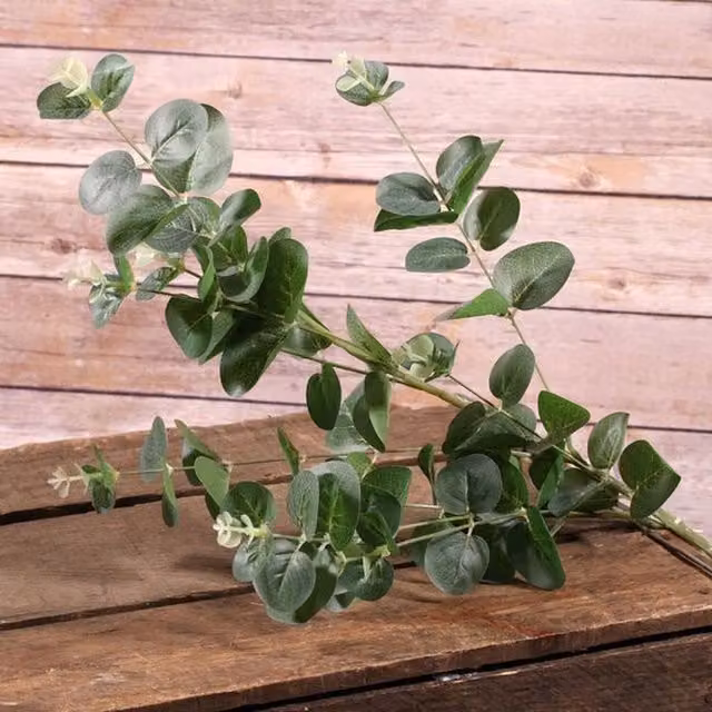Kingsbury Gifts Artificial Eucalyptus Pick, Green, Height: 91 cm