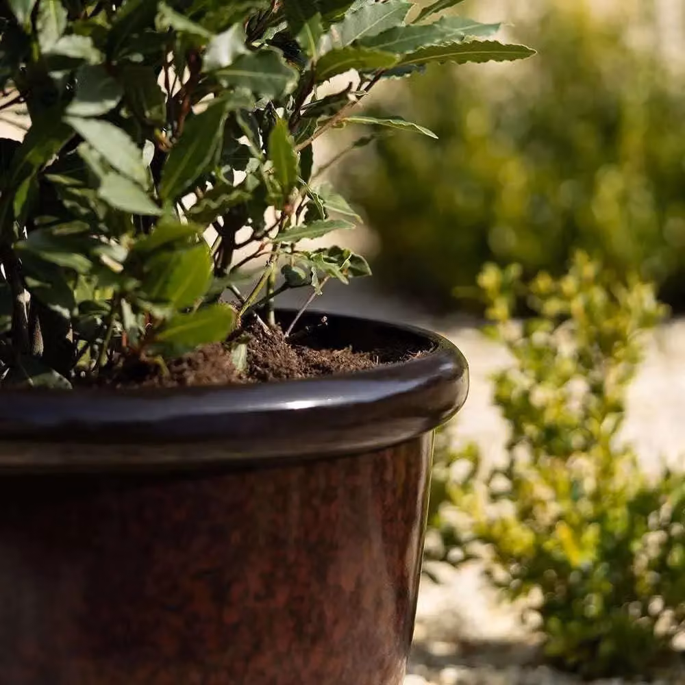 Primrose Black Plastic Round Flower Pot Planter Diameter: 41 cm – 6