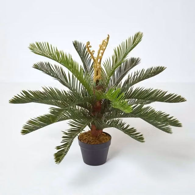 Homescapes Green Sago Palm Artificial Cycas Plant with Black Pot, Height: 75 cm