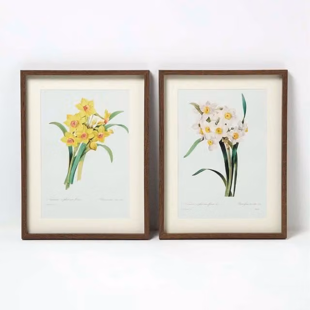 Homescapes Set of 2 Narcissus Flower Wall Art, White and Yellow Botanical Paper Posters