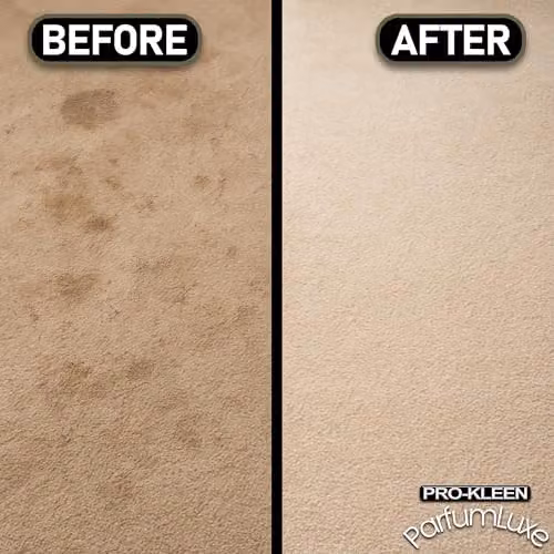 Pro-Kleen Parfum Luxe Carpet Shampoo 1 l with Woody, Oud and Warm Fragrance – 3