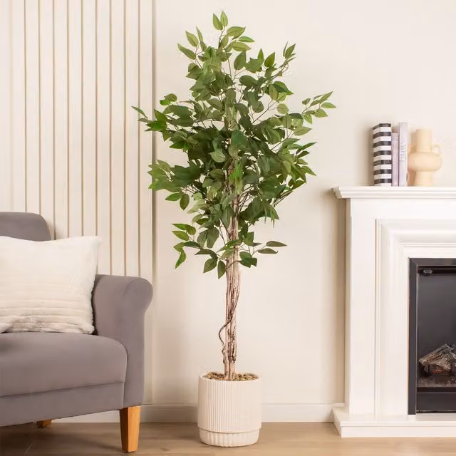 Scottish Everlastings Ltd 160 cm Green Ficus Tree in a Concrete Pot – 1