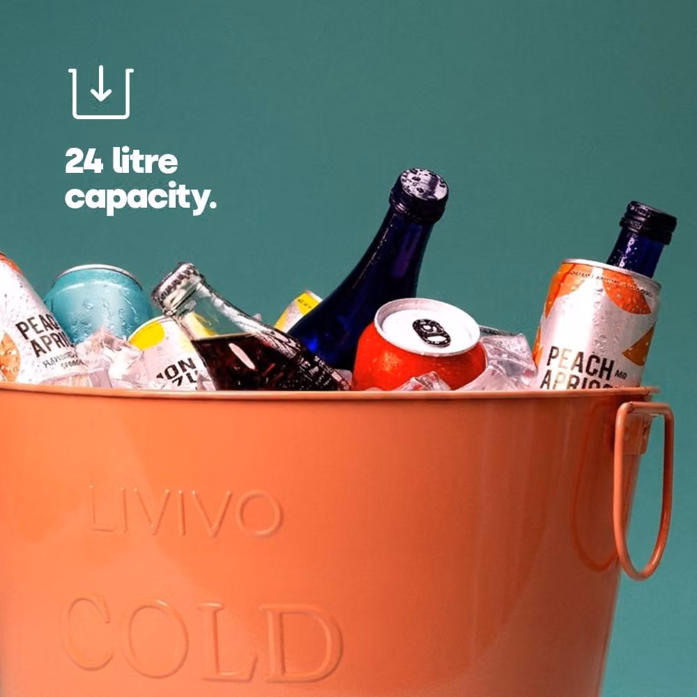 LIVIVO Galvanised Steel Drinks Bucket in Coral – 2