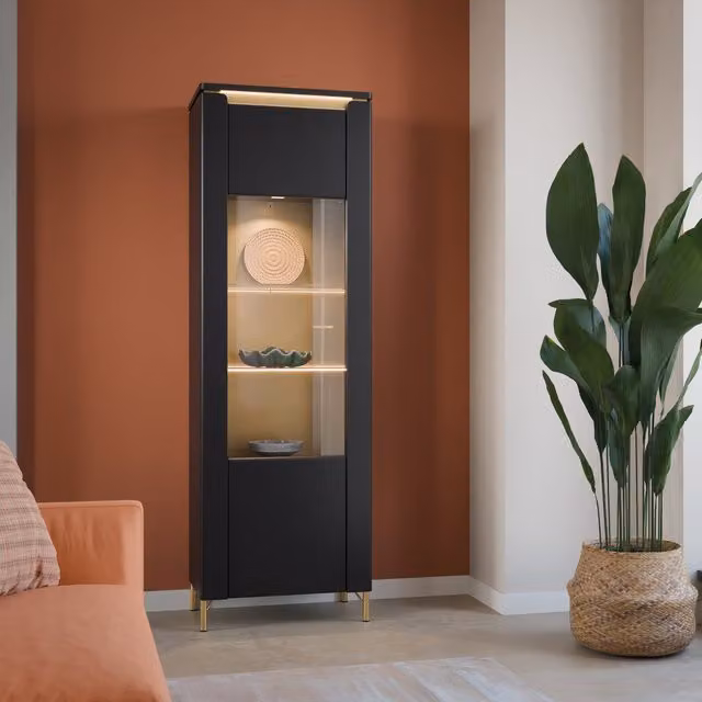 Furniture To Go Genoa 1 Door Vitrine in Black Matt and Gold with Glass Doors