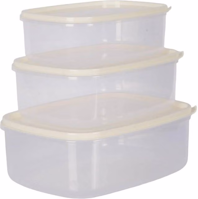 KORVIXA 3-Piece Rectangle Food Storage Container Set in Transparent Plastic